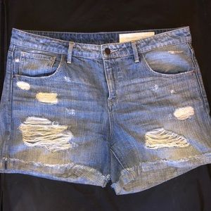 Treasure & Bond shorts